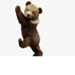 Bear Group with honey