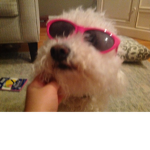 Gradma