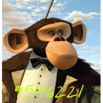 Monkey Fanta Gang
