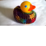 Ducks in Sweaters