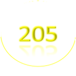 205 Bones Broken