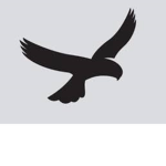Eagles Elm