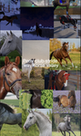 -*(Pony club)*-