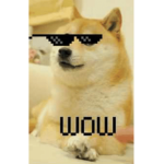 Doge Fan club for all