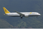National Airlines Association