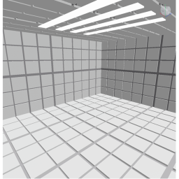 Solitary Confinement