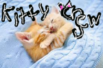 The KittyCrew