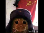 russia support