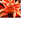 Fan naruto RBX