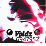 VOIDZ....