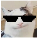 (King bob)Play pet sim X