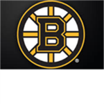 BOS Bruins