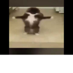 randompoggroup.png
