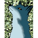 Shy Foox Fan Group!!
