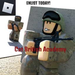 Cat Academy