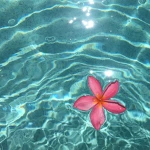 - Tropic Studios - Group Thumbnail