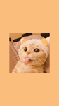 Kitty sanrio:3