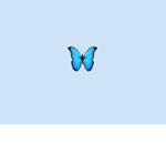 ~Aesthetic Butterflies~