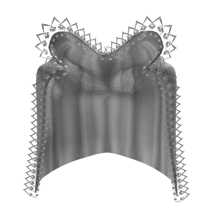 [1.0] 1580s | Elizabethan Lace Conch (White) 