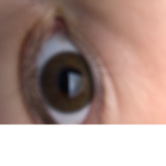 Rezija2013