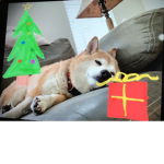 Official Christmas shiba group