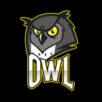 올빼미 OWL