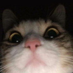 samuel's store