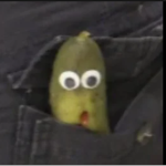 Sensei Pickle's Dojo