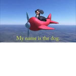 The Dog Of Wisdom Is The Best