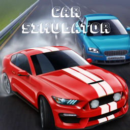 car simulator