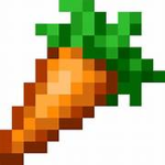 Carrots XD's Group
