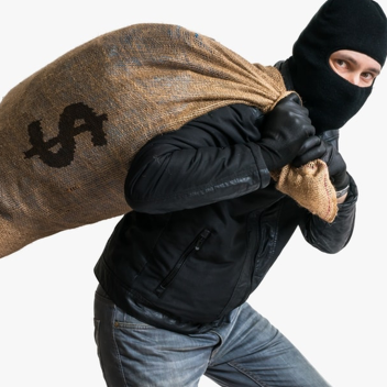 Steal A Cat