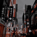 조준