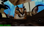 I like cats XD