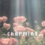 - c h a r m i n g -