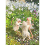 Fairy Ratz <3