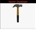 Gamer Developer