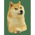 로벅스 파티임