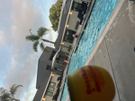Tropical_sunshine