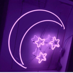 Purple Moon Store