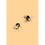Bubblebee Boutique