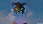 Wolf warrior cat fan group