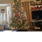 Tree hangout