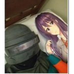 2d Girl fans