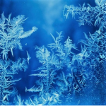 Winter's Clothing Group