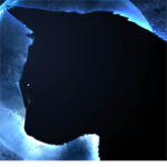 Warrior Cats Club (Warriors fans only!)