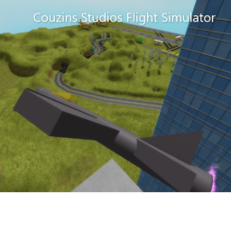 Couzins Studios Flight Simulator