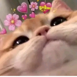 ♡