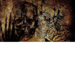 ii_Aethestic