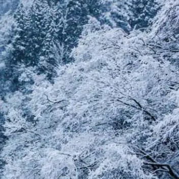 ❄